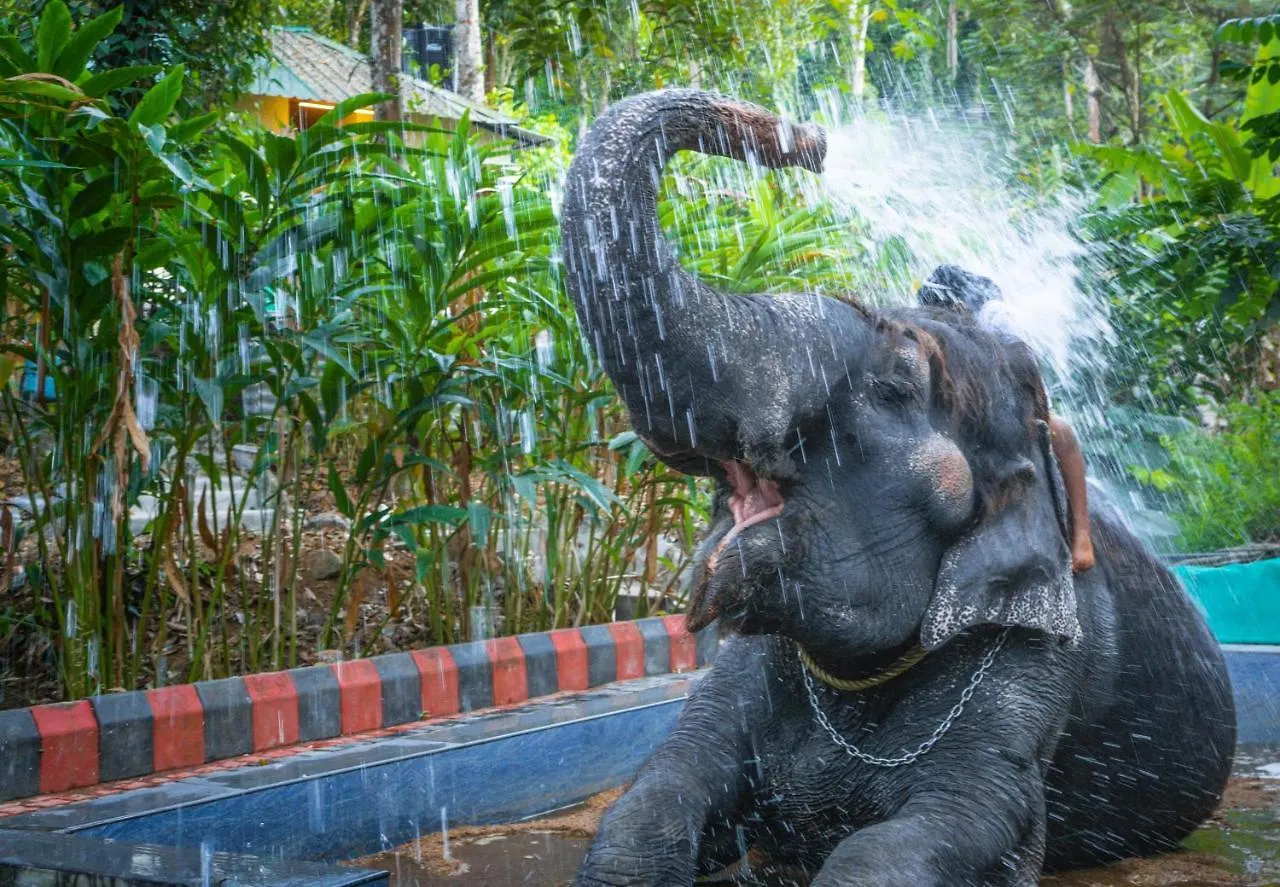 Amritara Shalimar Spice Garden Resort & Spa Thekkady 5*,